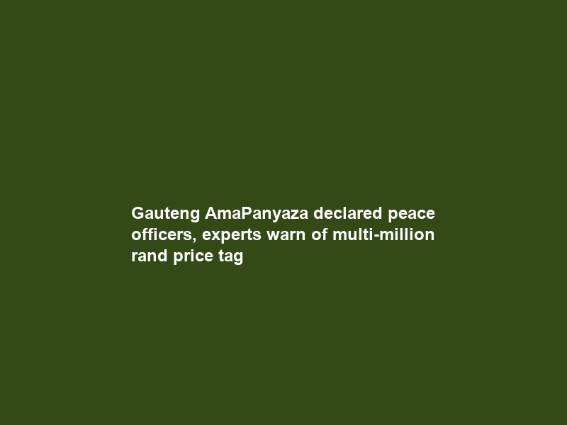 Gauteng AmaPanyaza declared peace officers, experts warn of multi-million rand price tag