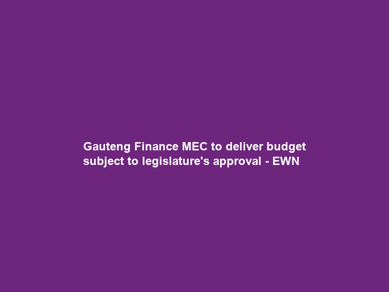 Gauteng Finance MEC to deliver budget subject to legislature’s approval – EWN