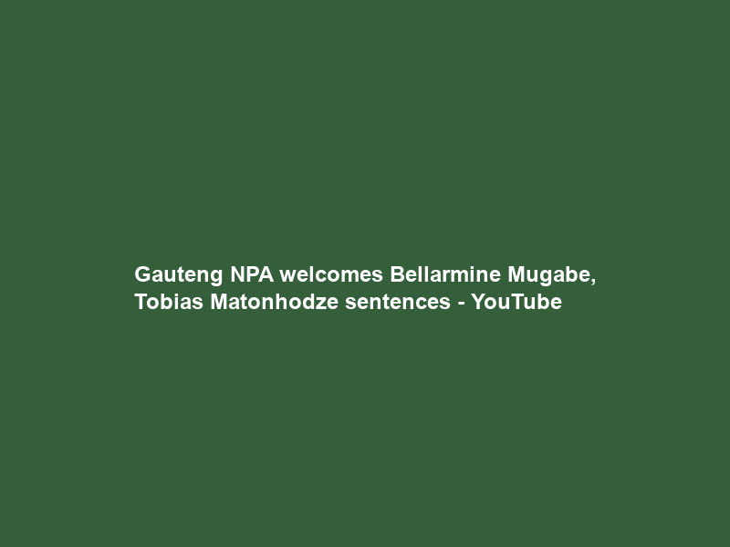 Gauteng NPA welcomes Bellarmine Mugabe, Tobias Matonhodze sentences – YouTube