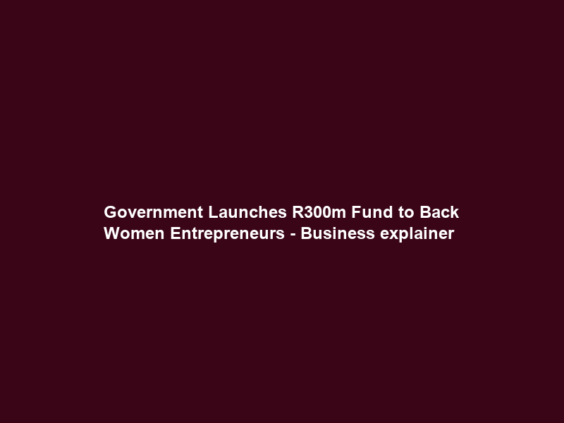 Government Launches R300m Fund to Back Women Entrepreneurs – Business explainer