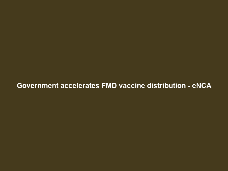 Government accelerates FMD vaccine distribution – eNCA