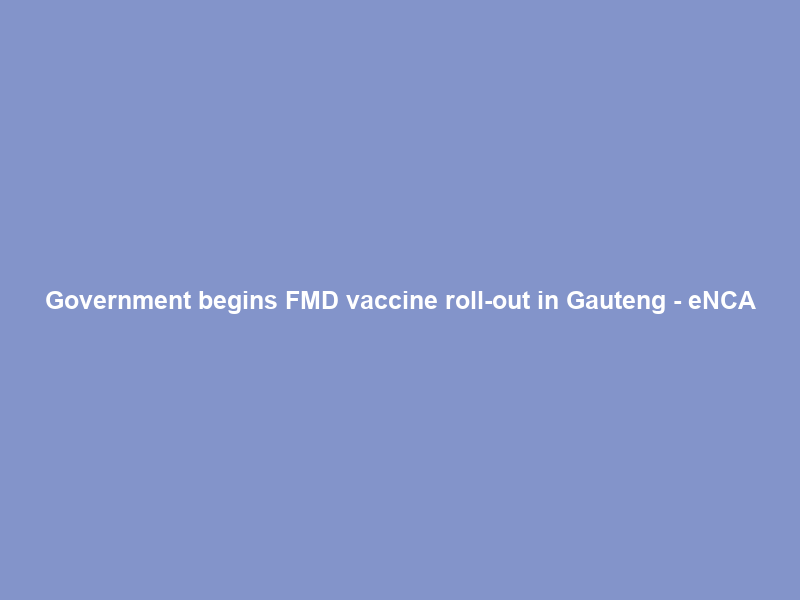 Government begins FMD vaccine roll-out in Gauteng – eNCA
