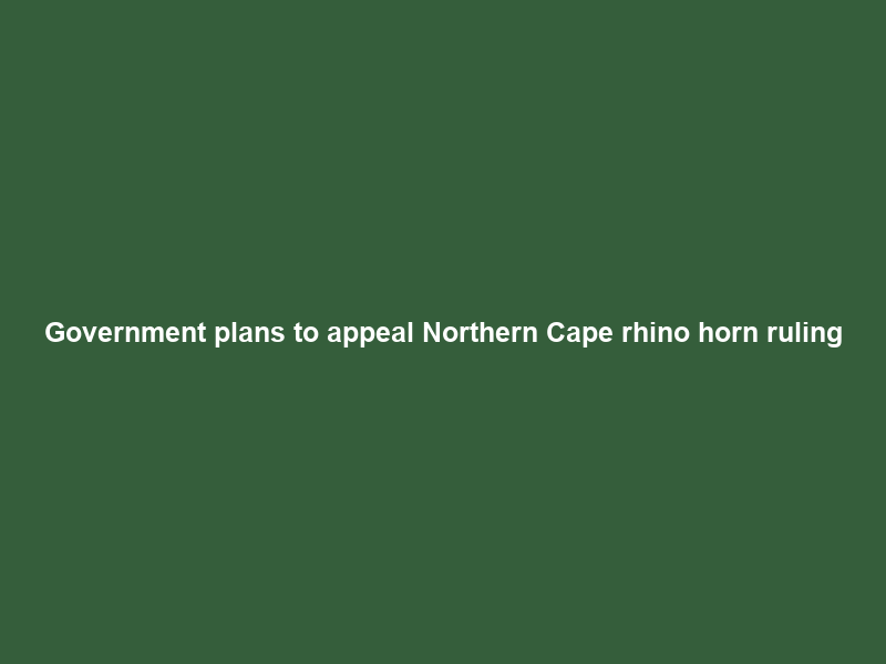 Government plans to appeal Northern Cape rhino horn ruling