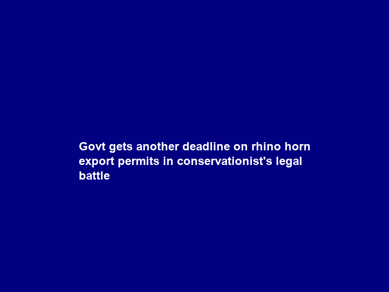 Govt gets another deadline on rhino horn export permits in conservationist’s legal battle
