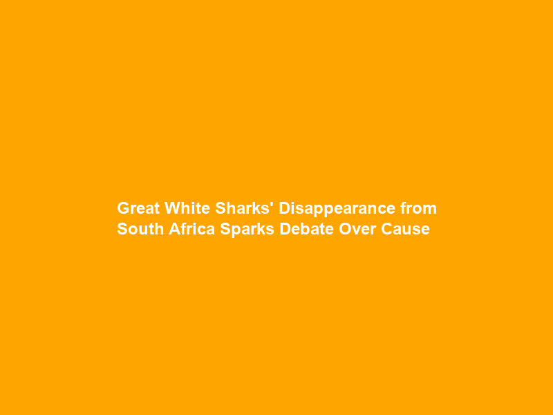 Great White Sharks’ Disappearance from South Africa Sparks Debate Over Cause
