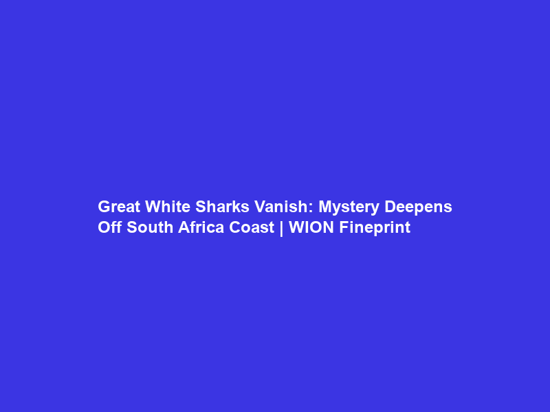 Great White Sharks Vanish: Mystery Deepens Off South Africa Coast | WION Fineprint