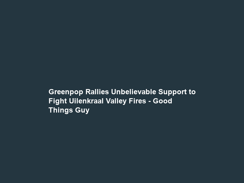 Greenpop Rallies Unbelievable Support to Fight Uilenkraal Valley Fires – Good Things Guy