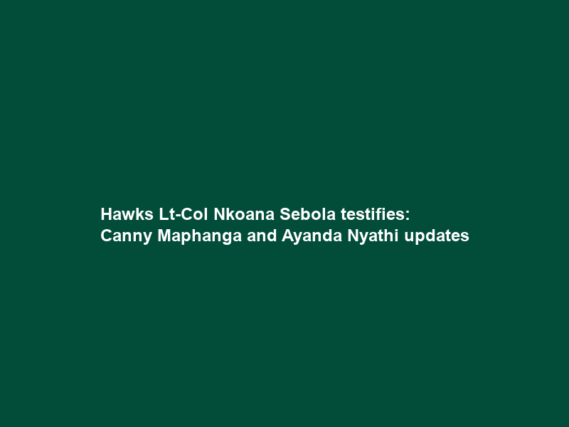 Hawks Lt-Col Nkoana Sebola testifies: Canny Maphanga and Ayanda Nyathi updates