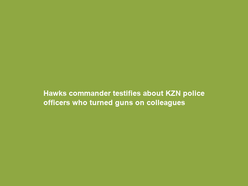Hawks commander testifies about KZN police officers who turned guns on colleagues