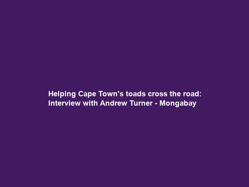 Helping Cape Town’s toads cross the road: Interview with Andrew Turner – Mongabay