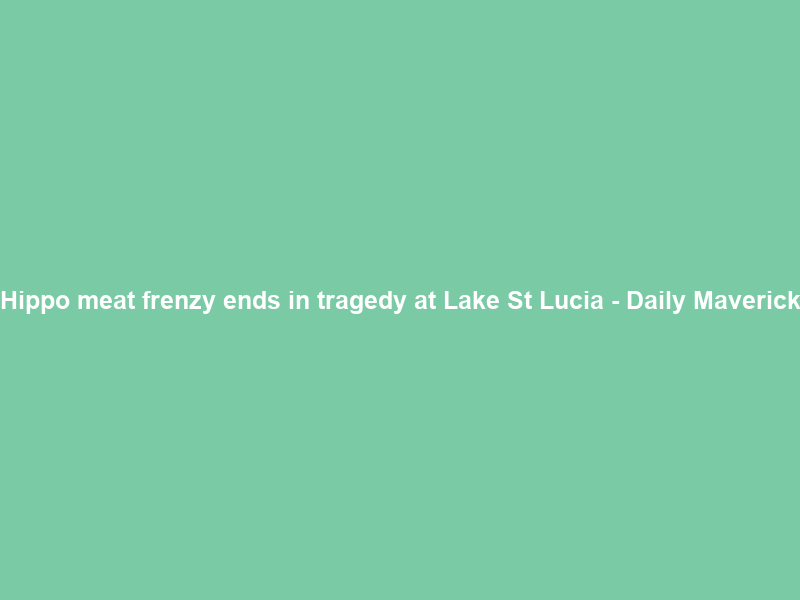 Hippo meat frenzy ends in tragedy at Lake St Lucia – Daily Maverick