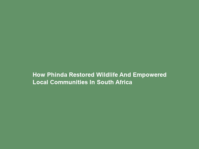 How Phinda Restored Wildlife And Empowered Local Communities In South Africa