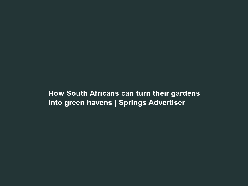 How South Africans can turn their gardens into green havens | Springs Advertiser