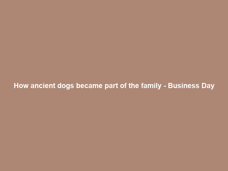 How ancient dogs became part of the family – Business Day