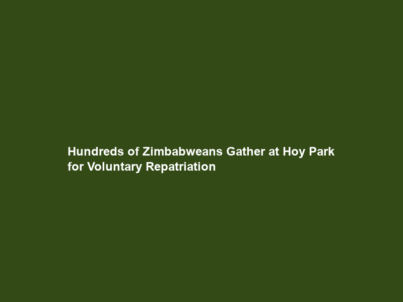 Hundreds of Zimbabweans Gather at Hoy Park for Voluntary Repatriation