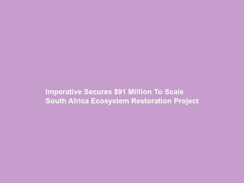 Imperative Secures  Million To Scale South Africa Ecosystem Restoration Project