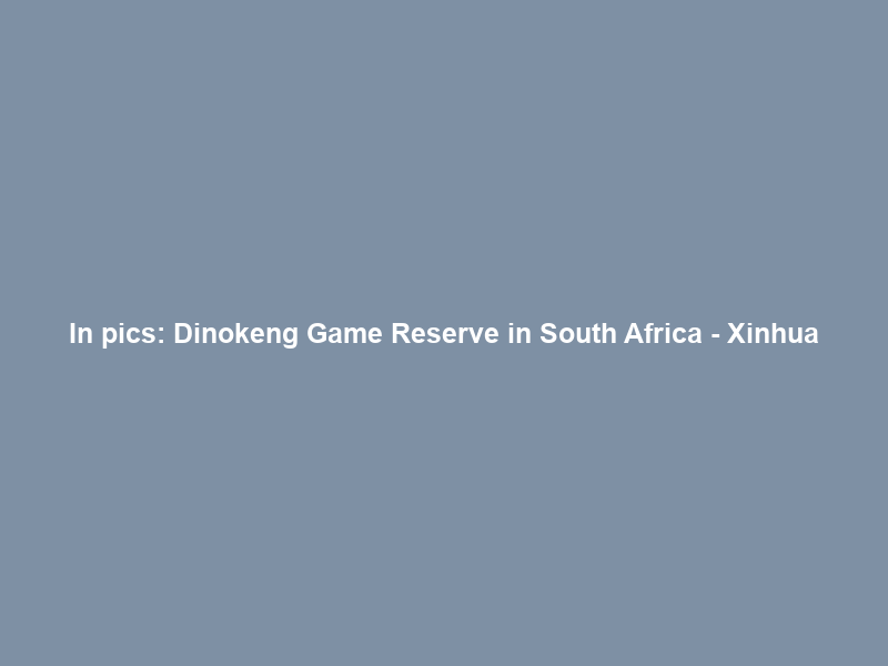 In pics: Dinokeng Game Reserve in South Africa – Xinhua