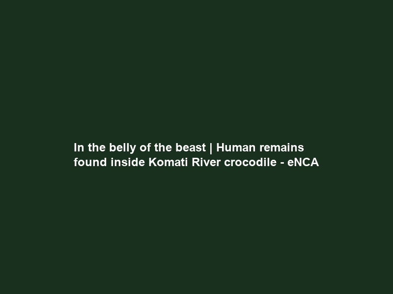 In the belly of the beast | Human remains found inside Komati River crocodile – eNCA