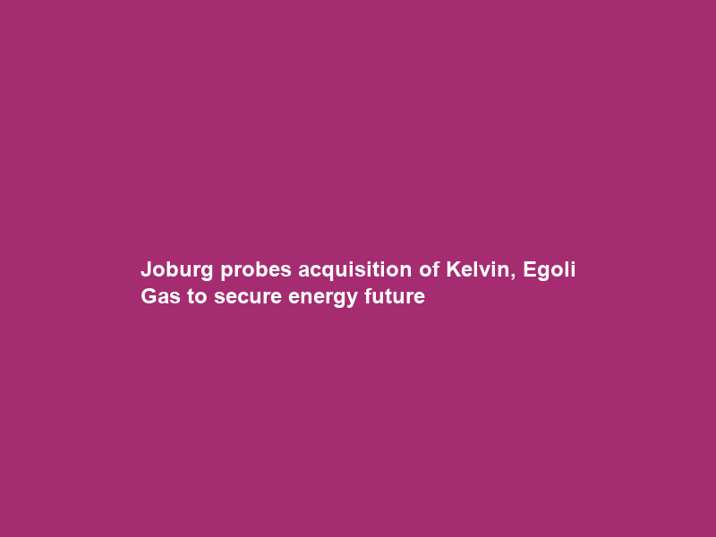 Joburg probes acquisition of Kelvin, Egoli Gas to secure energy future
