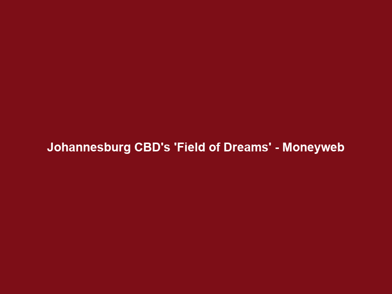 Johannesburg CBD’s ‘Field of Dreams’ – Moneyweb