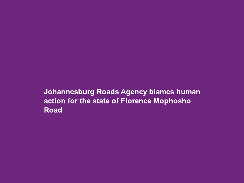 Johannesburg Roads Agency blames human action for the state of Florence Mophosho Road