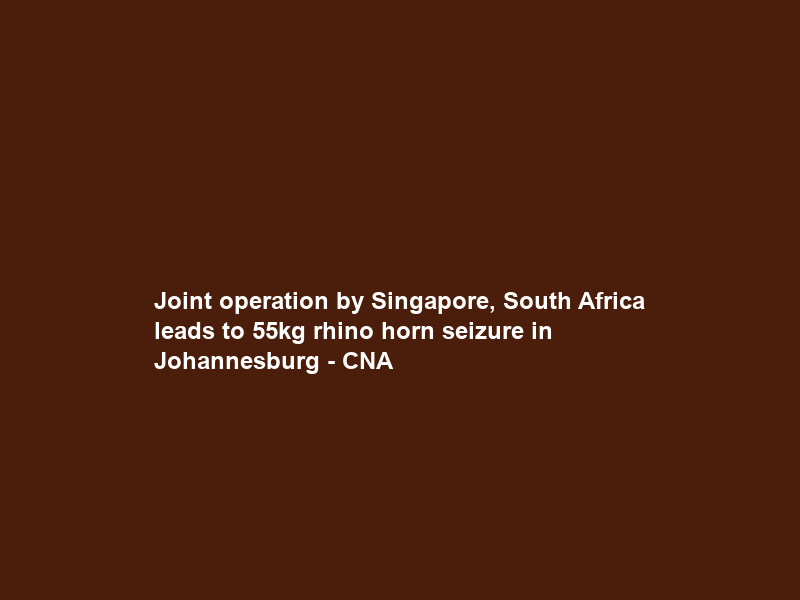 Joint operation by Singapore, South Africa leads to 55kg rhino horn seizure in Johannesburg – CNA