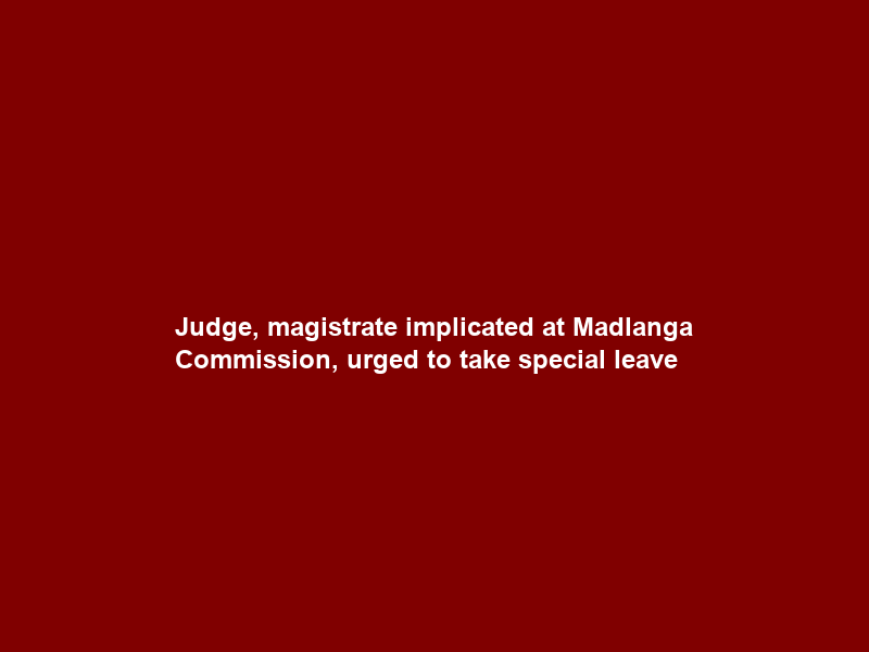 Judge, magistrate implicated at Madlanga Commission, urged to take special leave