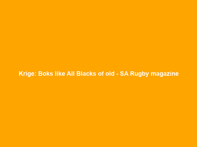 Krige: Boks like All Blacks of old – SA Rugby magazine