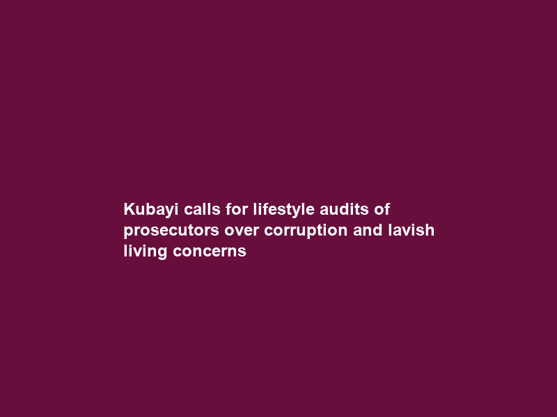 Kubayi calls for lifestyle audits of prosecutors over corruption and lavish living concerns