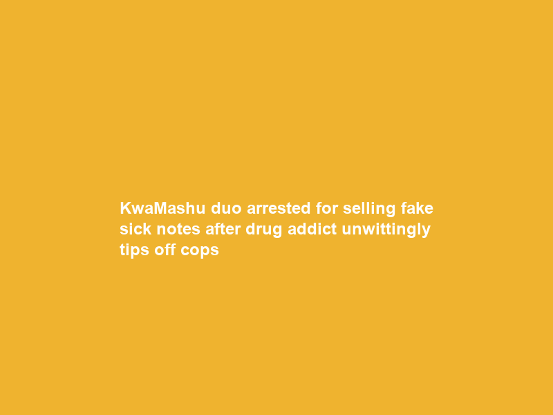 KwaMashu duo arrested for selling fake sick notes after drug addict unwittingly tips off cops