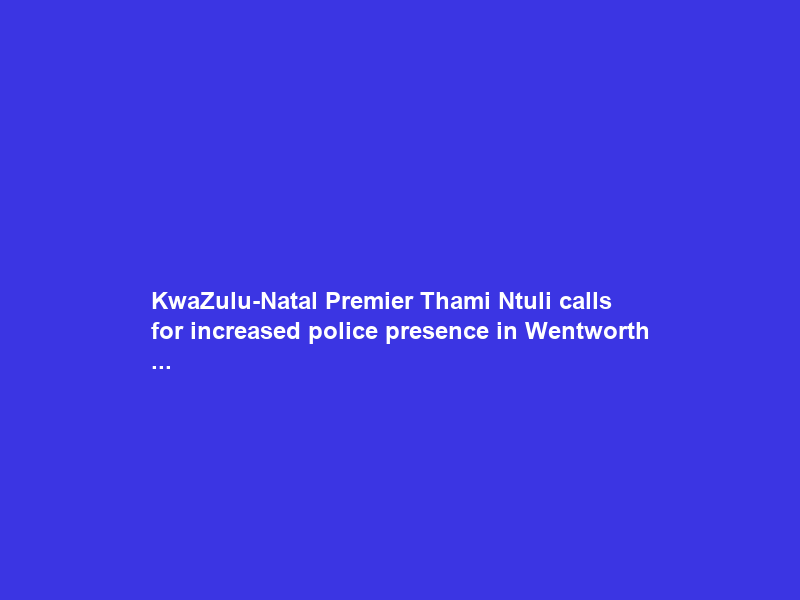 KwaZulu-Natal Premier Thami Ntuli calls for increased police presence in Wentworth …