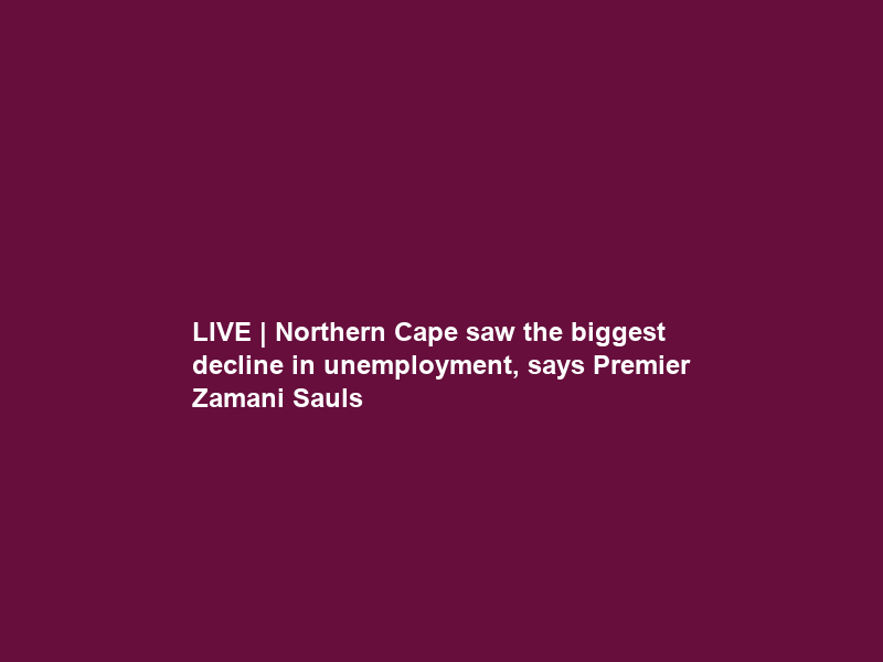 LIVE | Northern Cape saw the biggest decline in unemployment, says Premier Zamani Sauls