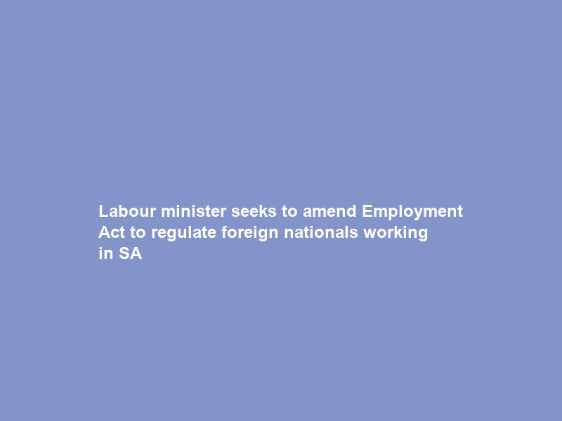 Labour minister seeks to amend Employment Act to regulate foreign nationals working in SA