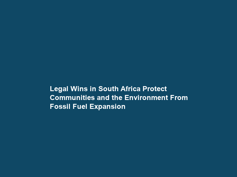 Legal Wins in South Africa Protect Communities and the Environment From Fossil Fuel Expansion