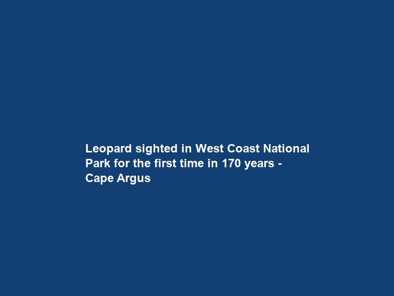 Leopard sighted in West Coast National Park for the first time in 170 years – Cape Argus