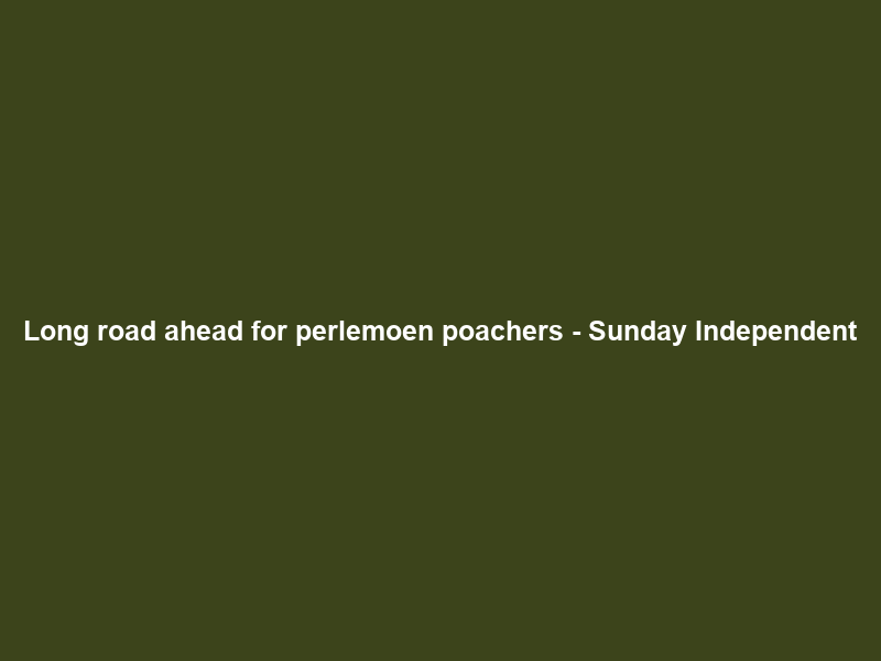 Long road ahead for perlemoen poachers – Sunday Independent