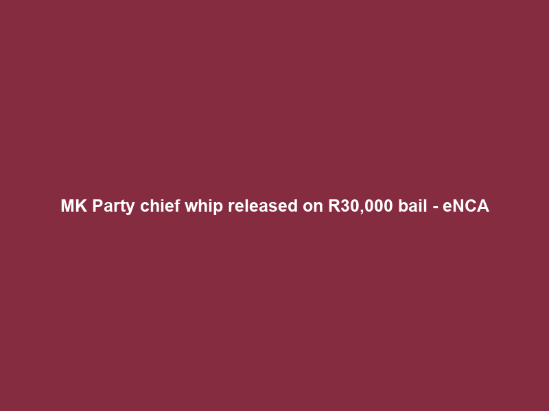 MK Party chief whip released on R30,000 bail – eNCA