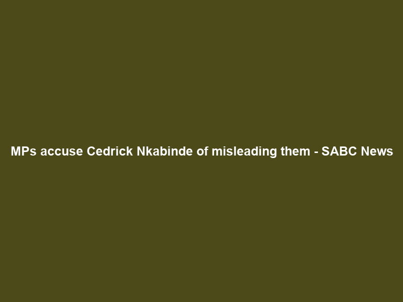 MPs accuse Cedrick Nkabinde of misleading them – SABC News