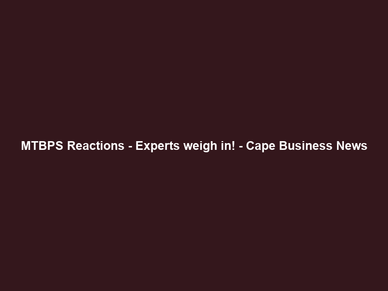 MTBPS Reactions – Experts weigh in! – Cape Business News