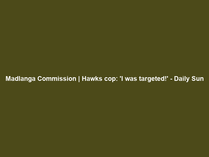 Madlanga Commission | Hawks cop: ‘I was targeted!’ – Daily Sun