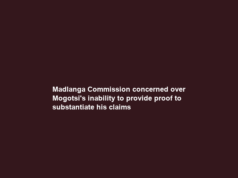 Madlanga Commission concerned over Mogotsi’s inability to provide proof to substantiate his claims