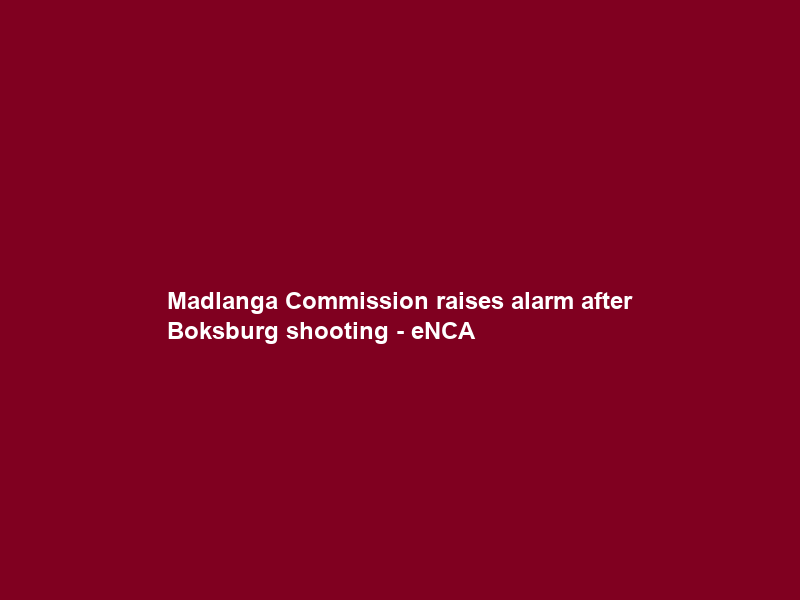 Madlanga Commission raises alarm after Boksburg shooting – eNCA