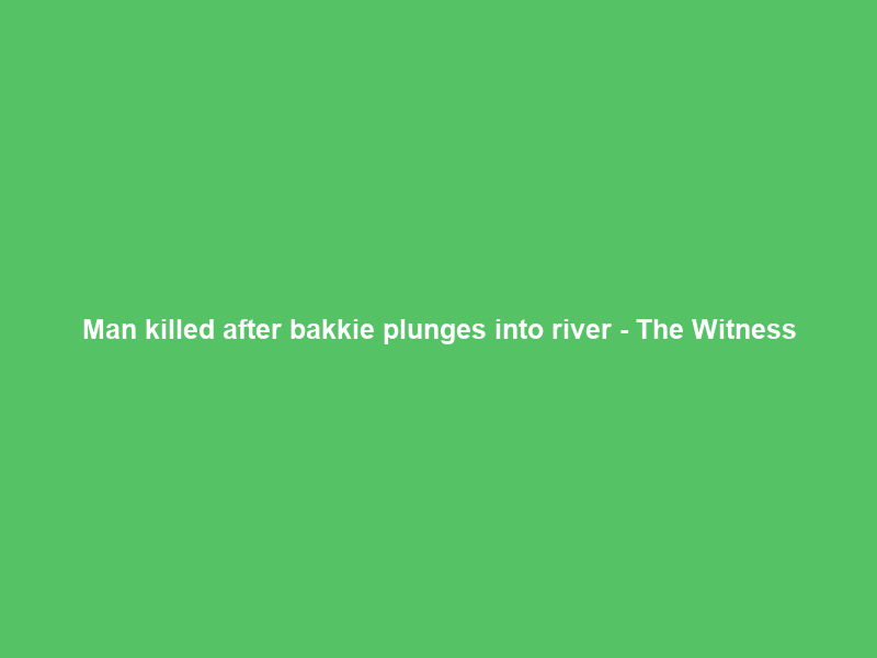 Man killed after bakkie plunges into river – The Witness