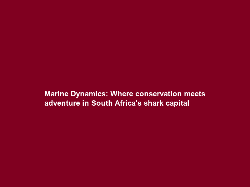 Marine Dynamics: Where conservation meets adventure in South Africa’s shark capital