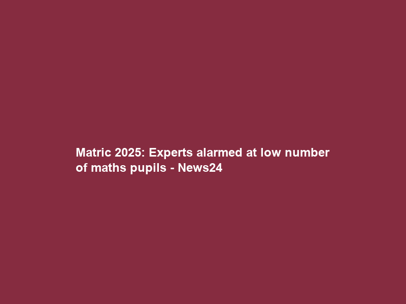 Matric 2025: Experts alarmed at low number of maths pupils – News24