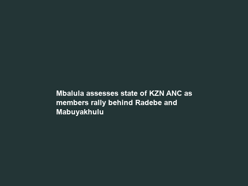Mbalula assesses state of KZN ANC as members rally behind Radebe and Mabuyakhulu