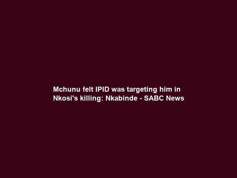 Mchunu felt IPID was targeting him in Nkosi’s killing: Nkabinde – SABC News