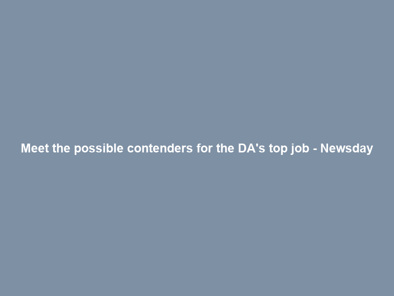 Meet the possible contenders for the DA’s top job – Newsday