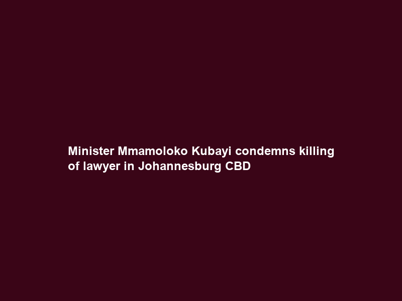 Minister Mmamoloko Kubayi condemns killing of lawyer in Johannesburg CBD