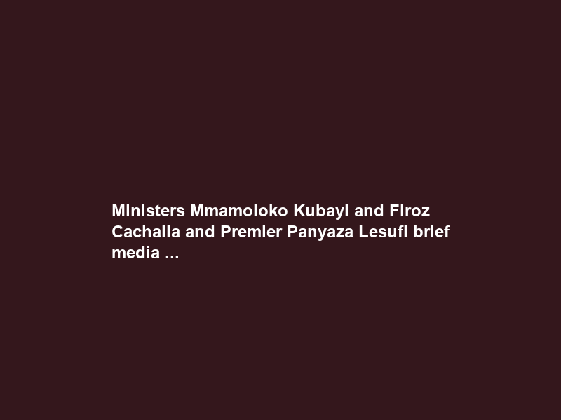 Ministers Mmamoloko Kubayi and Firoz Cachalia and Premier Panyaza Lesufi brief media …
